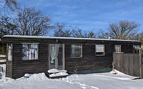 Ferny Roost Cabin.